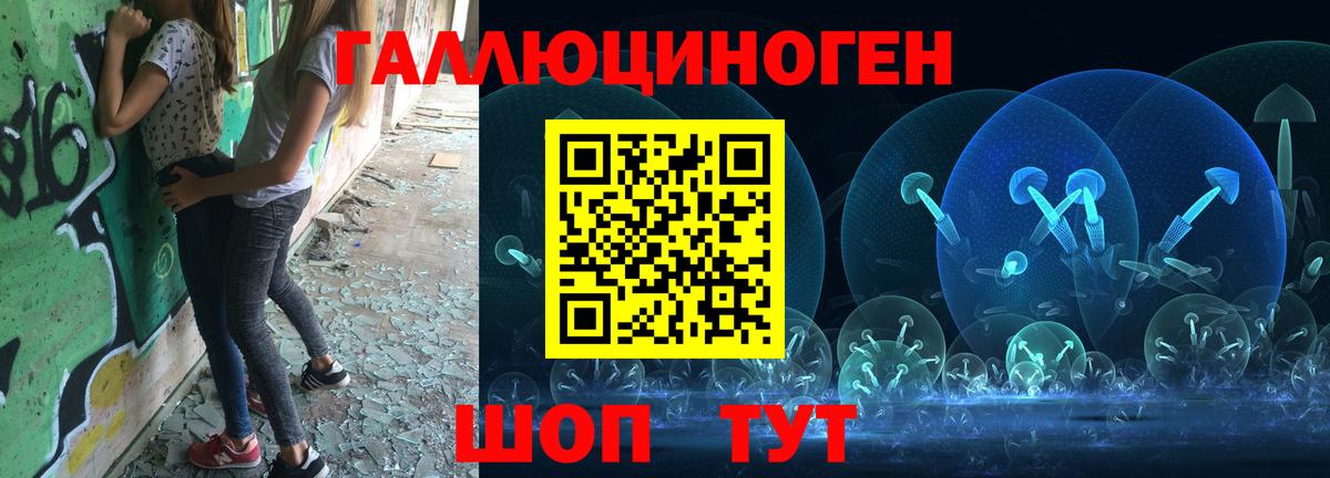 Псилоцибиновые грибы GOLDEN TEACHER  Галлюциногенные грибы Cubensis  Ступино  Вход с VPN 