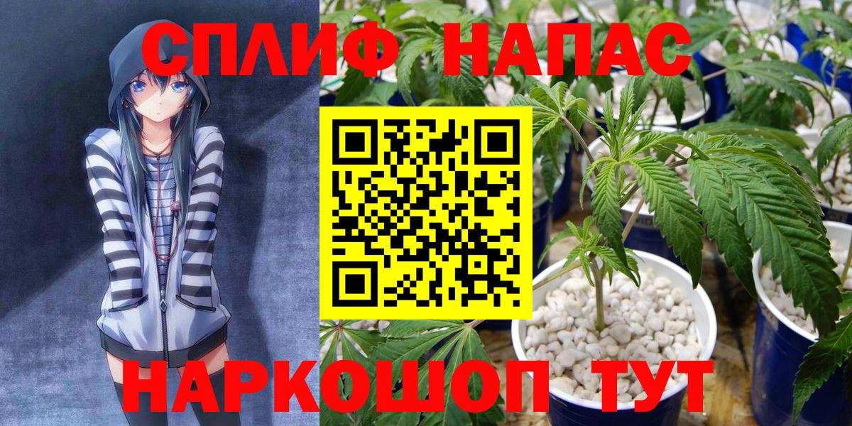 Марихуана Amnesia Ступино